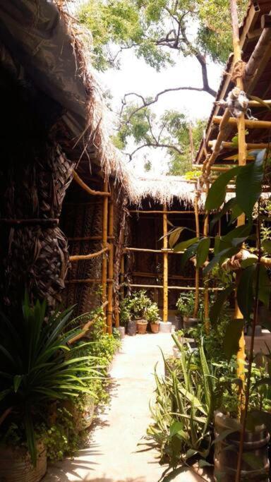 The Vintage House Villa Mysore Esterno foto