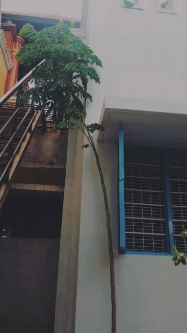 The Vintage House Villa Mysore Esterno foto