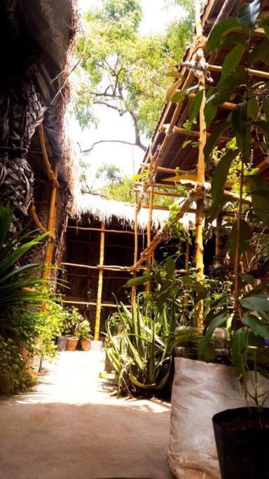 The Vintage House Villa Mysore Esterno foto